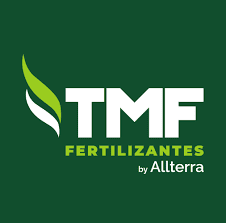 TMF